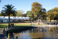 The Verandah at Hamilton Lake